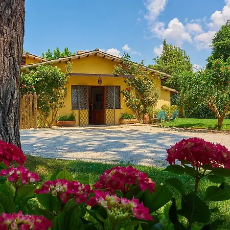 Casa Del Glicine בקתה ספולטו