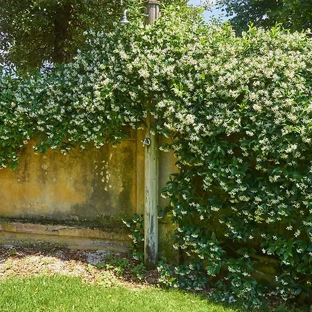 בקתה Casa Del Glicine